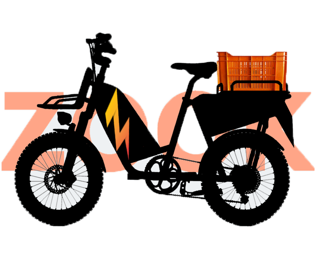 Zook Cargo eBike